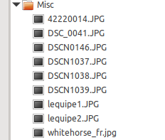 Image of the new copy of Misc on the USB drive Image of the new copy of Misc on the USB drive