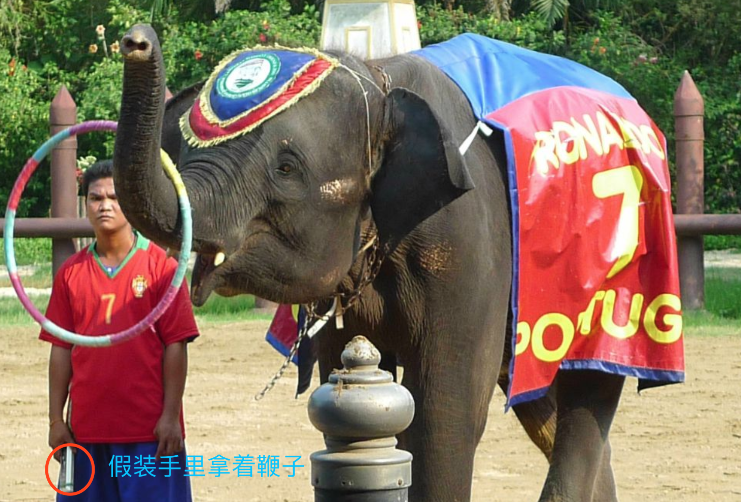 如影随形的设计模式与现实世界_ 图片描述