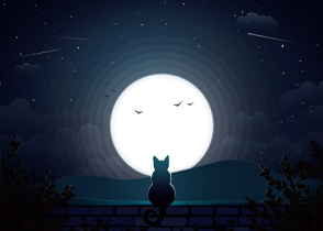 图片描述 图片描述