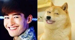 图片描述 图片描述