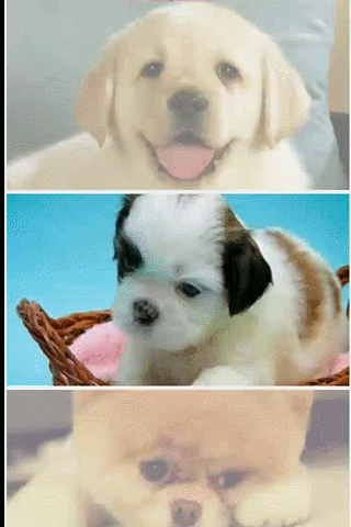 单张图片的item 单张图片的item