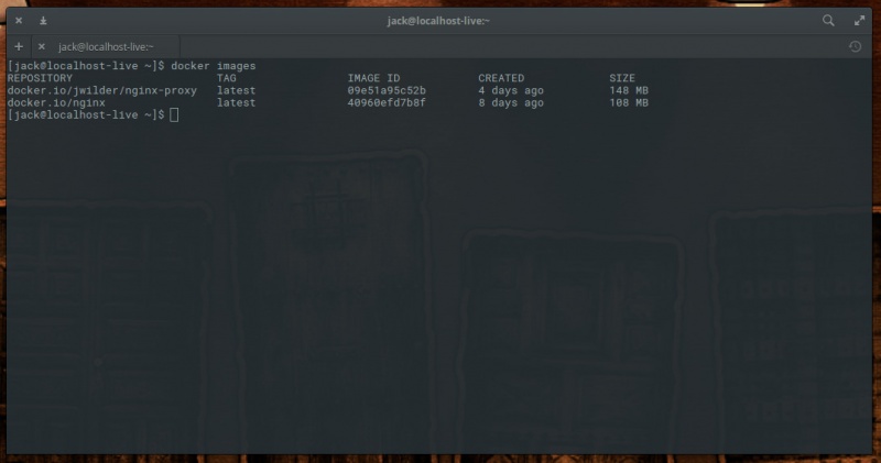 图 4:已经有了两种不同的 NGINX 镜像了。 图 4:已经有了两种不同的 NGINX 镜像了。