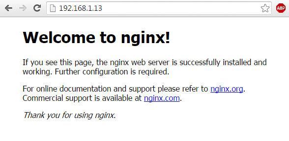 验证 Nginx 网页 验证 Nginx 网页