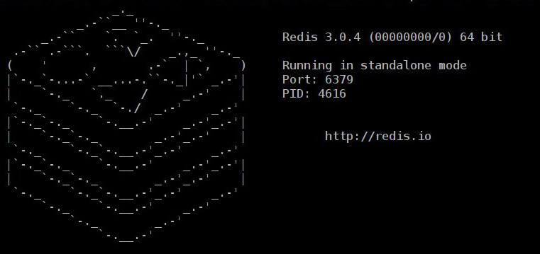 Redis 服务器 Redis 服务器