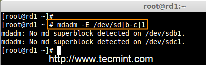 检查 RAID 类型 检查 RAID 类型