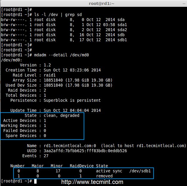 测试 RAID 设备 测试 RAID 设备