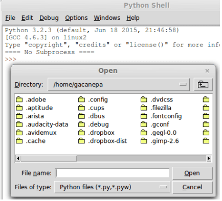 Python Shell Python Shell