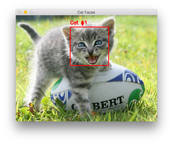 图 2. 使用 OpenCV 检测猫脸的第二个例子,这次猫脸稍有不同。 图 2. 使用 OpenCV 检测猫脸的第二个例子,这次猫脸稍有不同。