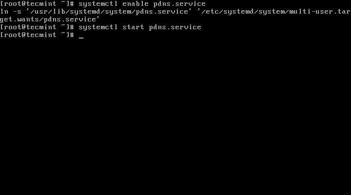 启用并启动PowerDNS 启用并启动PowerDNS