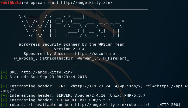 wpscan-url