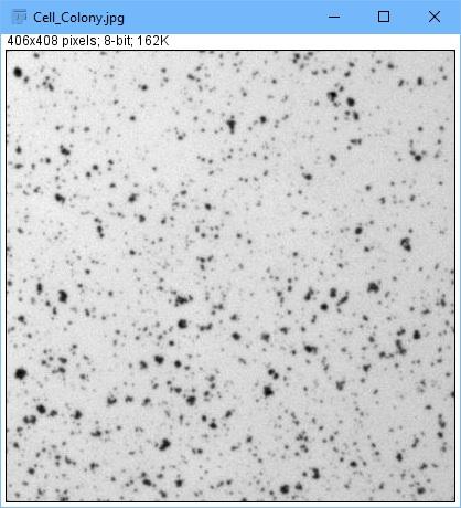 图 2. 案例图片可供学习使用 ImageJ。 图 2. 案例图片可供学习使用 ImageJ。