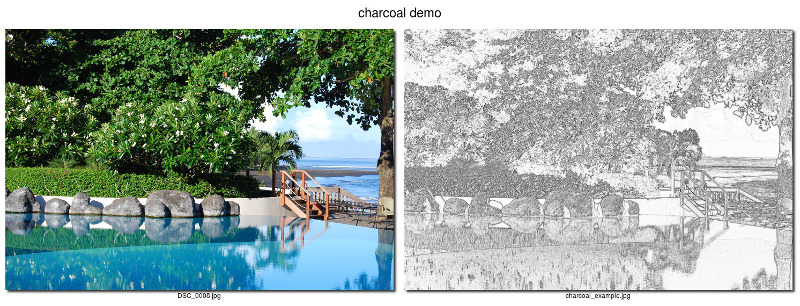 charcoal example charcoal example