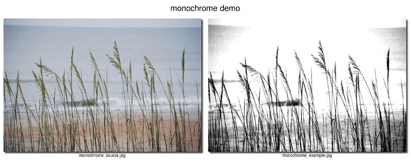 monochrome example monochrome example