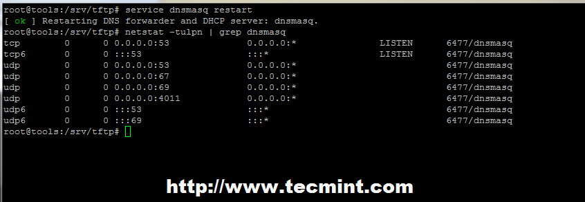 启动Dnsmasq服务 启动Dnsmasq服务