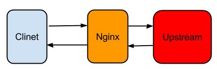 nginx nginx