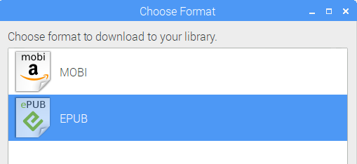 Choosing the e-book format Choosing the e-book format