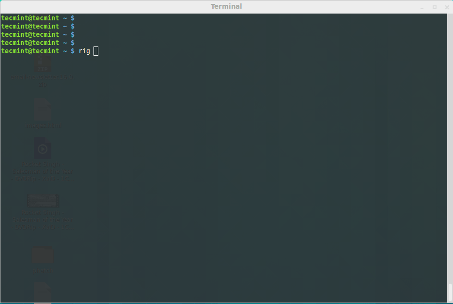 正在运行的 rig 命令 正在运行的 rig 命令