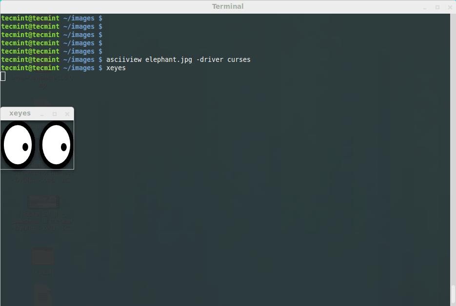 正在运行的 xeyes 命令 正在运行的 xeyes 命令