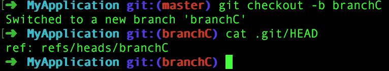 HEAD_IN_BRANCH