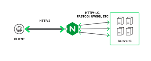 NGINX Supports SPDY and HTTP/2 for increased web application performance