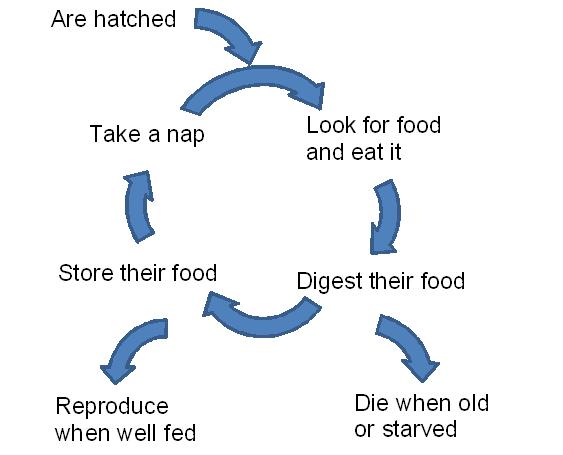 像鸟一样思考更好的并行编程
