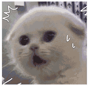 python3爬虫入门教程