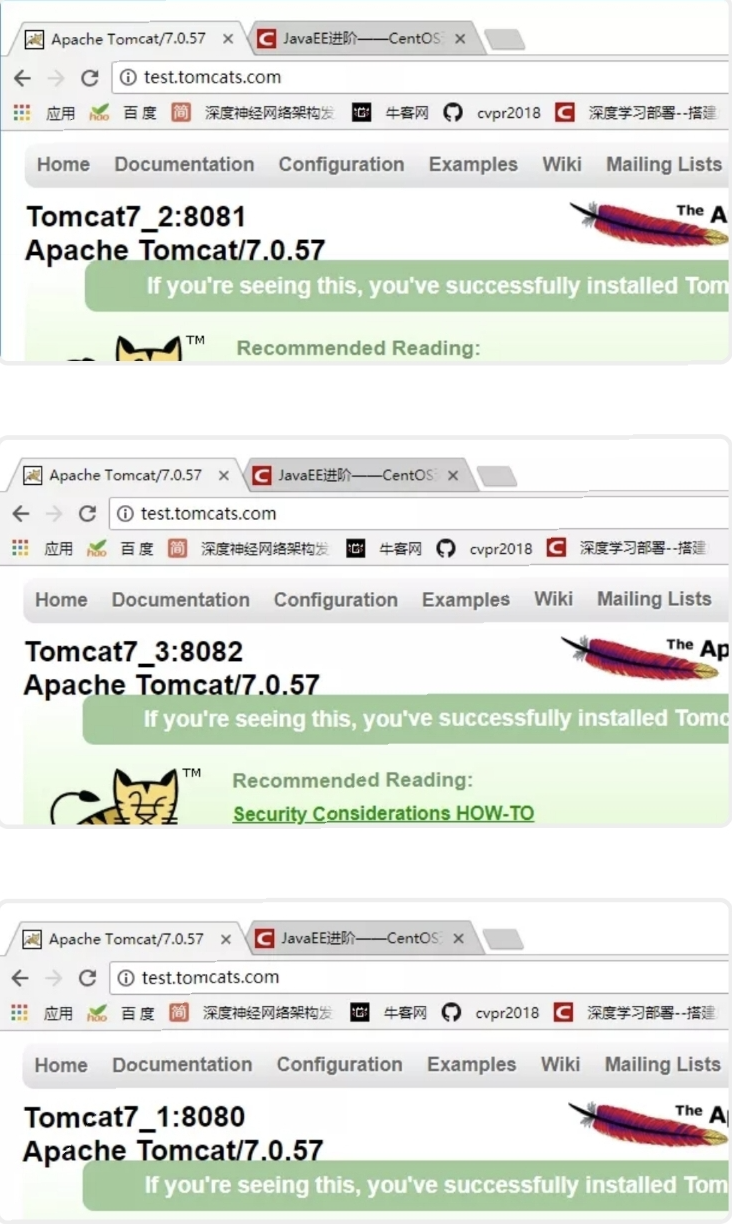 配置完后运行结果