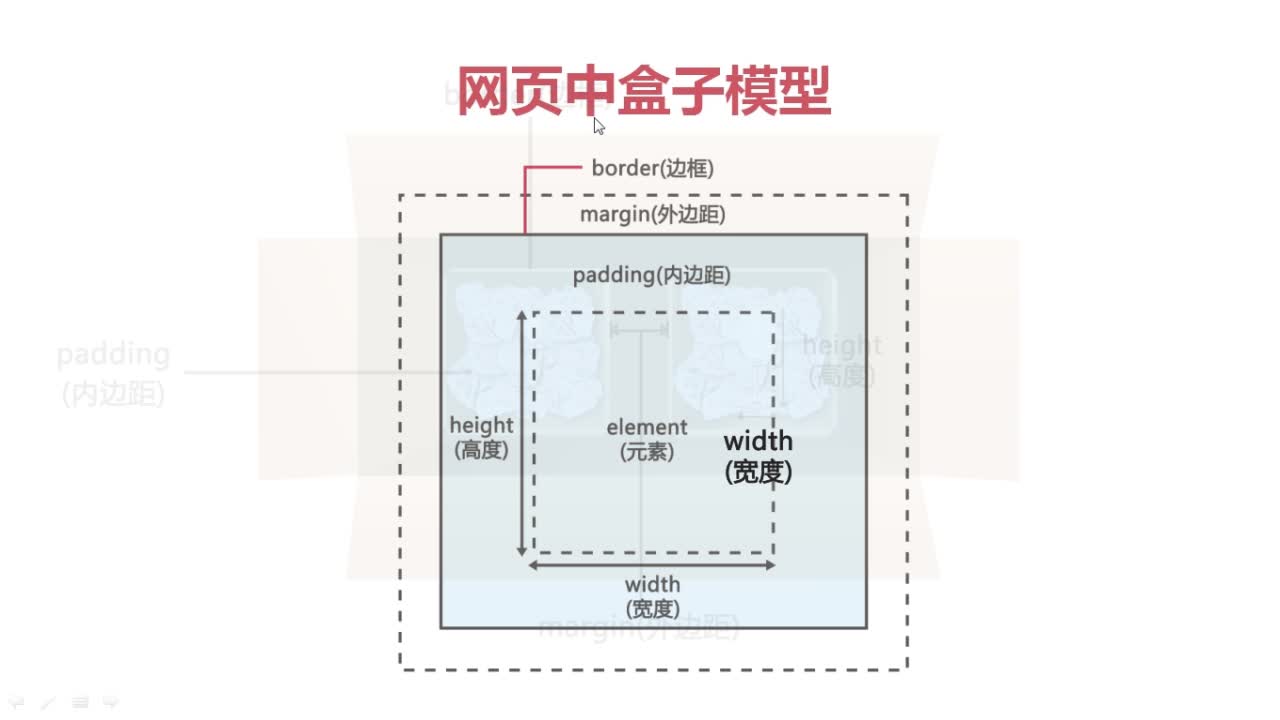 盒子模型的完整图片
