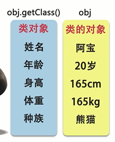 https://img1.sycdn.imooc.com//5d47ee4d0001dd3202330288.jpg