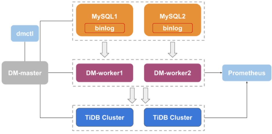DM Architecture
