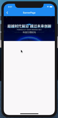 Flutter封装一个Banner轮播图_ 图片描述