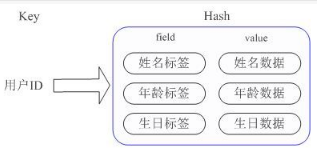 image-20211031160045876