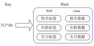 image-20211031160058515