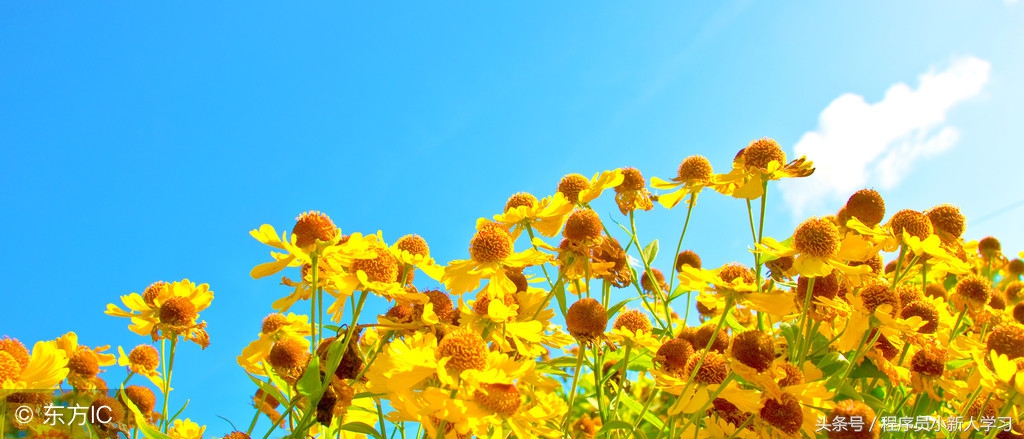 基于 Scala 和 Akka HTTP 进行响应式服务开发