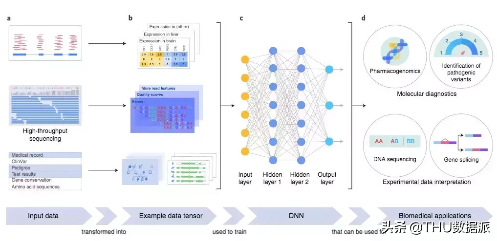 Jeff Dean等发文《Nature Medicine》,述深度学习在医疗上的应用