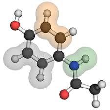 用于拓扑机器学习的Python库giotto-learn入门