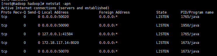 netstat -apn 看到50070端口状态