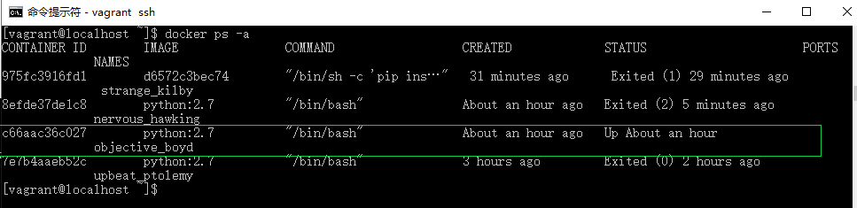 只启动一个容器