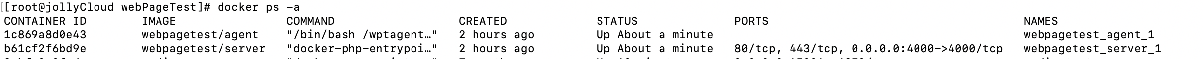 docker 任务