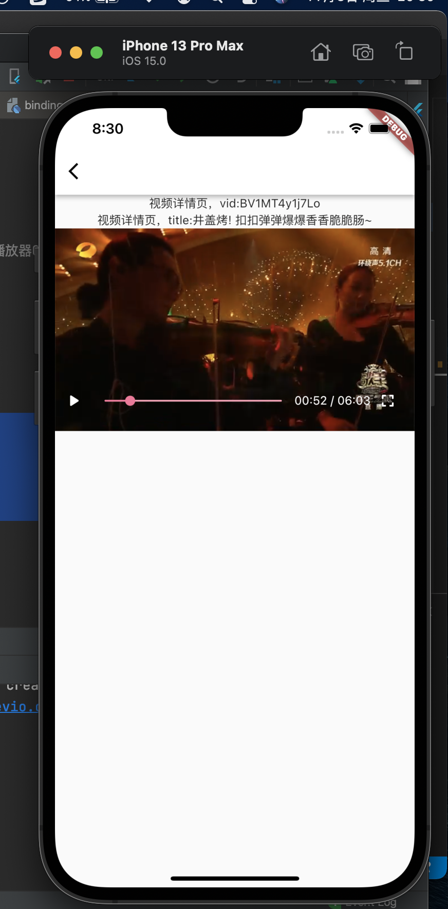 没有播放速度按钮
