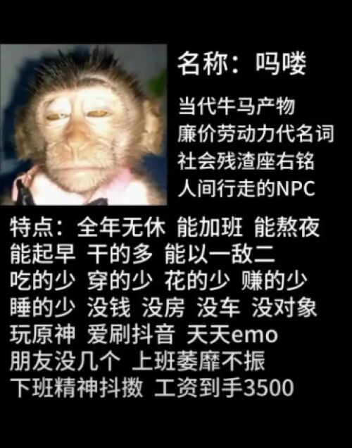 https://img1.sycdn.imooc.com/032b546708d9273b03730475.jpg