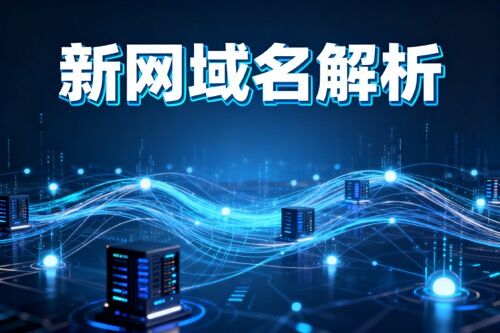 新网域名解析 新网域名解析