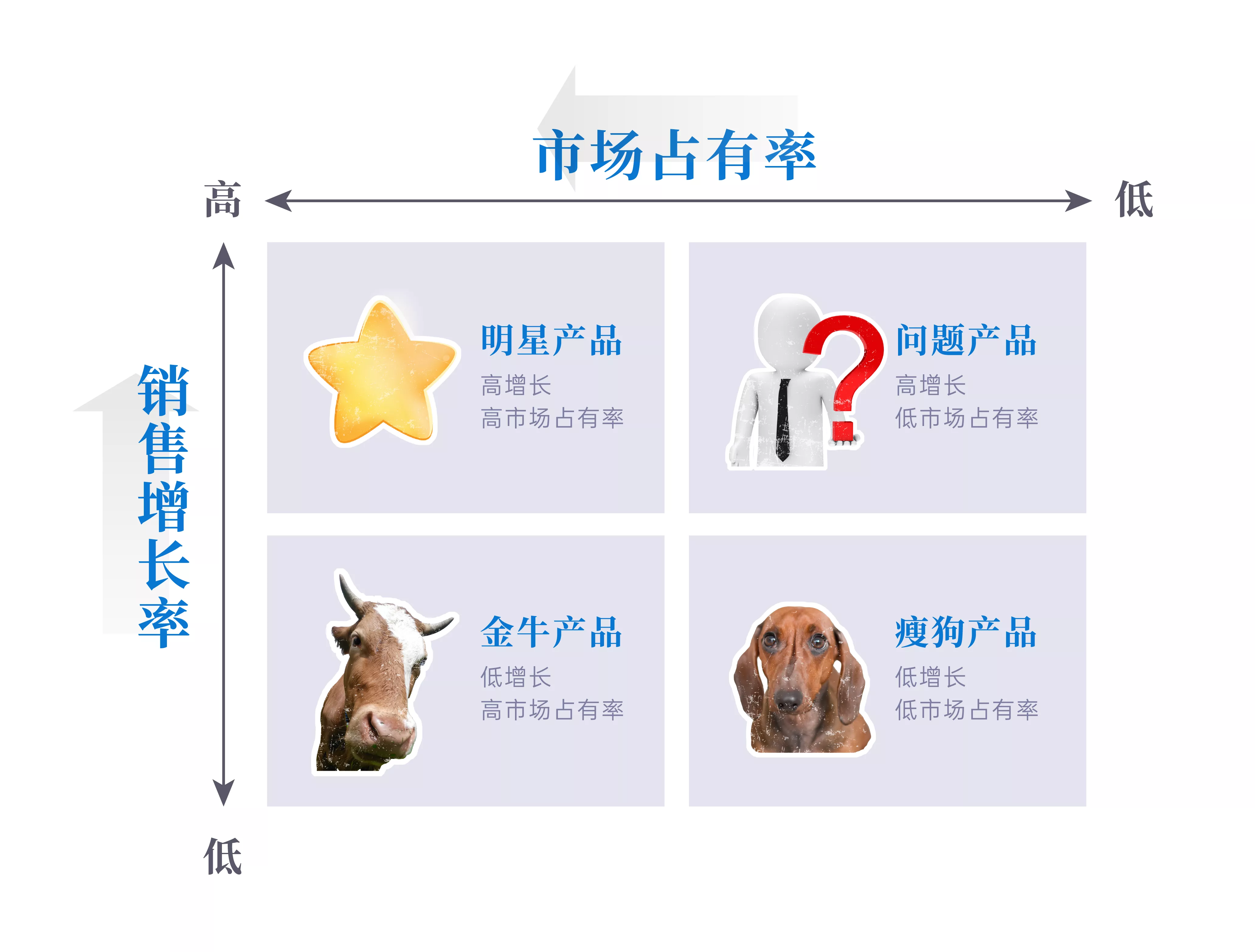 禅道项目管理软件-波士顿矩阵