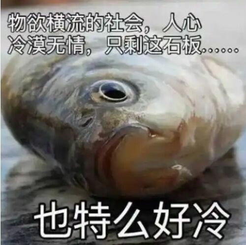 https://img1.sycdn.imooc.com/3bf0b568085902f204840483.jpg