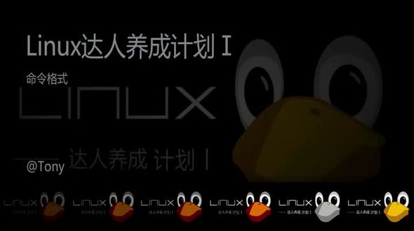 Linux命令格式