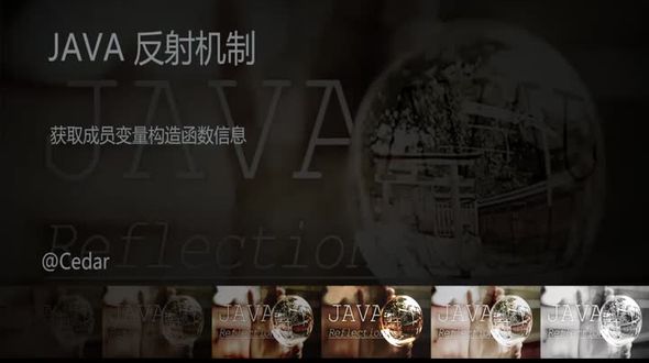 Java 获取成员变量构造函数信息
