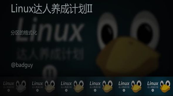 Linux中分区的格式化