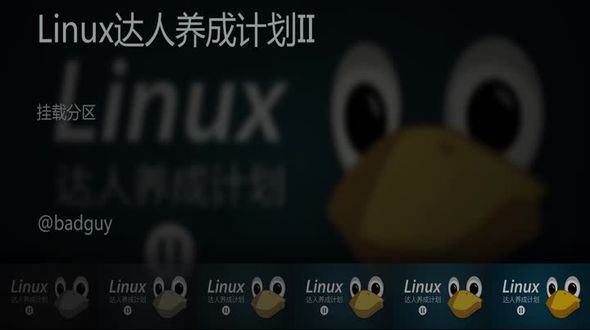 Linux中挂载分区