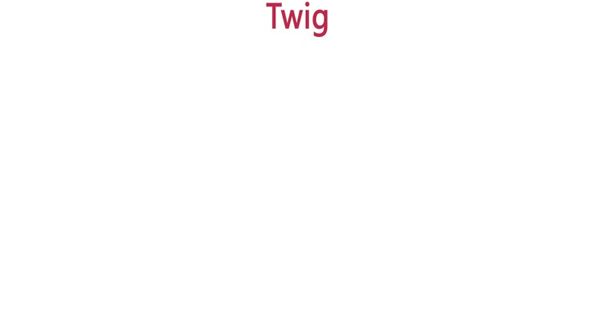 Twig基本语法