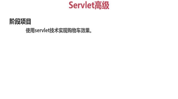 项目概述